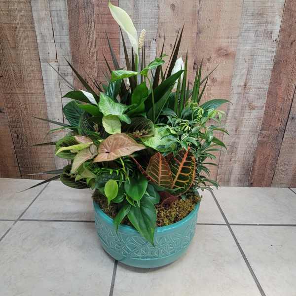 Mixed green houseplants arranged in a turquoise ceramic pot