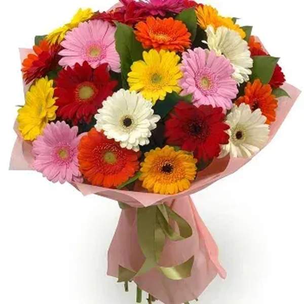 Bouquet of multicolored gerbera daisies wrapped in pink paper