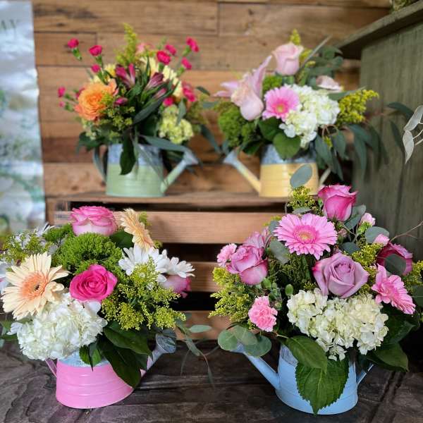 Mother's Day Watering Can Special!