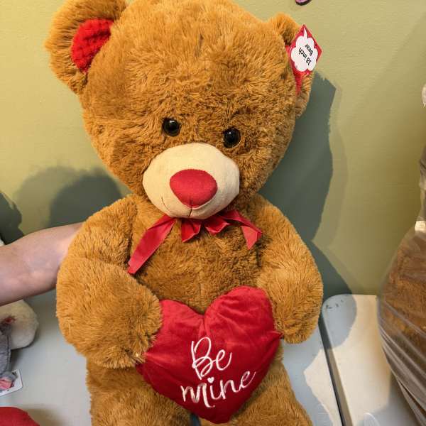 Brown teddy bear holding a red heart pillow with a ribbon