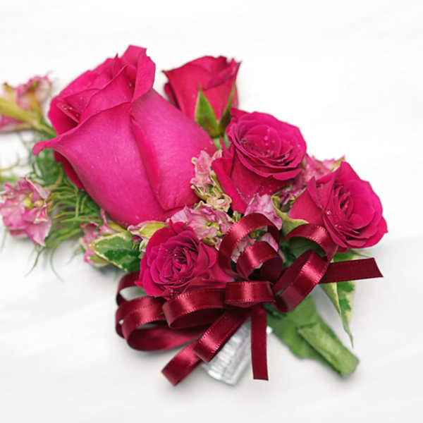 Pink rose corsage with burgundy ribbon on a white background