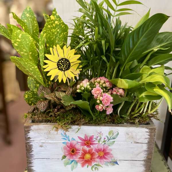 Mixed potted plants in a wooden box with a painted floral front