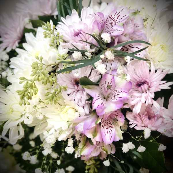 Bouquet of pink and white flowers with small white filler blooms
