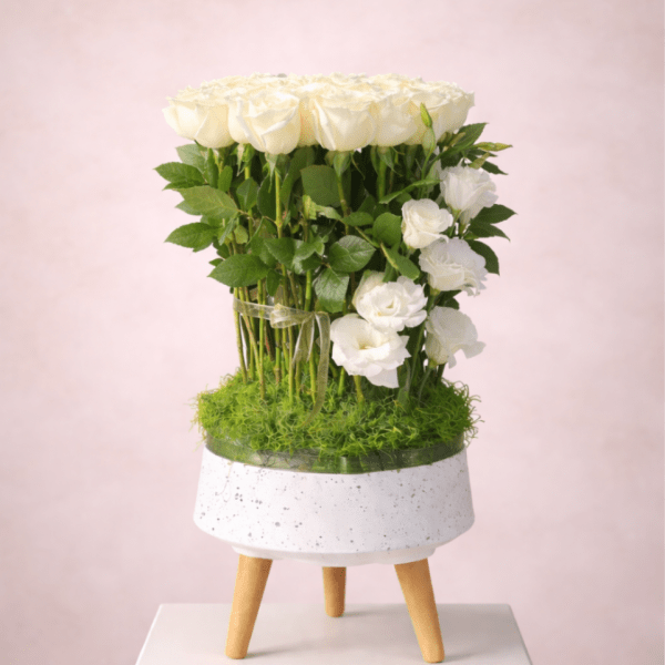 White roses arranged in a small white planter on a stand