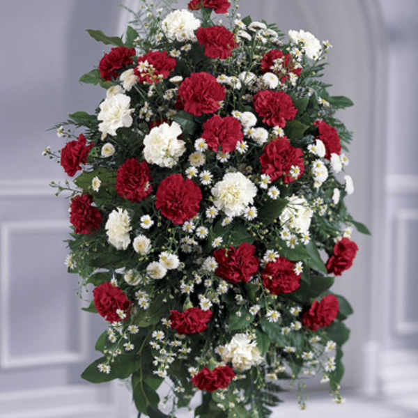 Standing spray of red and white carnations with small white daisies