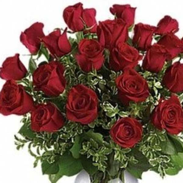 Bouquet of red roses with greenery