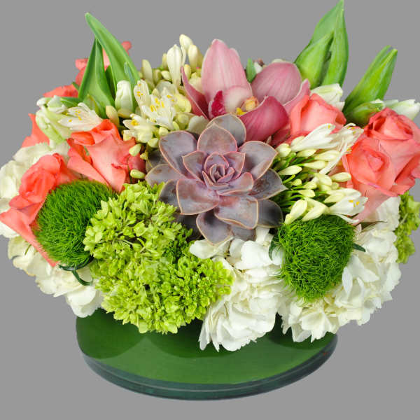 Mixed bouquet with pink roses, white blooms, and a central succulent in a green vase