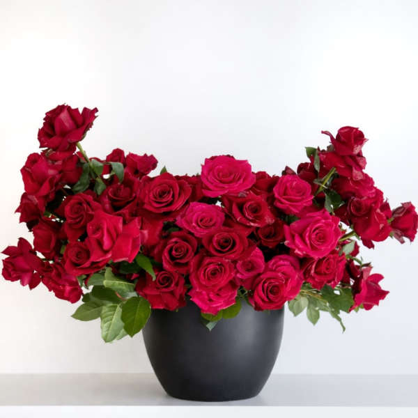 Red roses arranged in a black vase