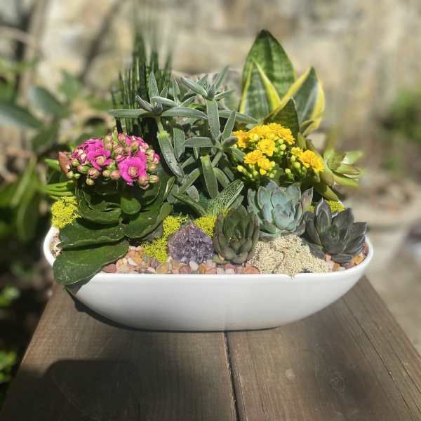 Succulent arrangement with pink and yellow blooms in a white bowl planter