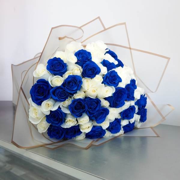 Bouquet of blue and white roses wrapped in clear paper