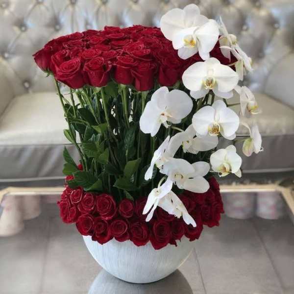 Red roses and white orchids arranged in a white vase