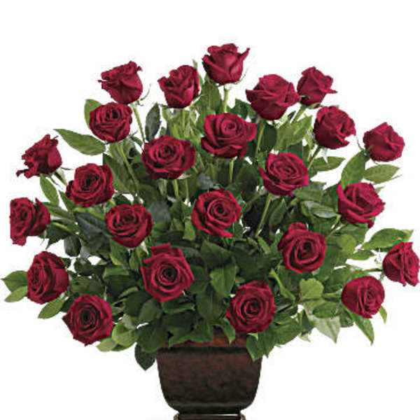 Red roses arranged in a dark urn vase