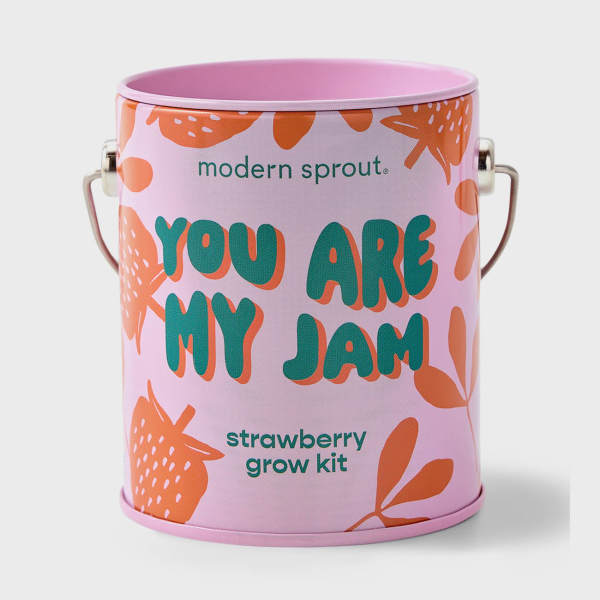 Pink strawberry grow kit tin with metal handles and floral graphics