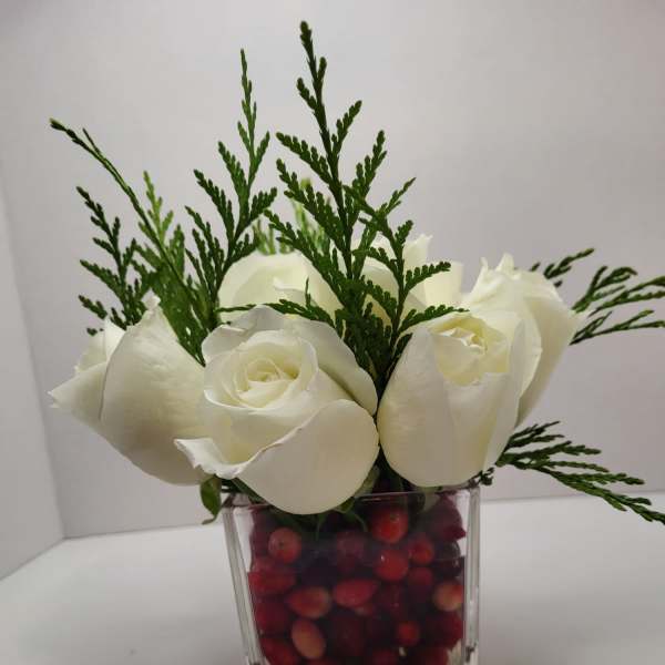 Winter in Bloom by Rowe's Roses