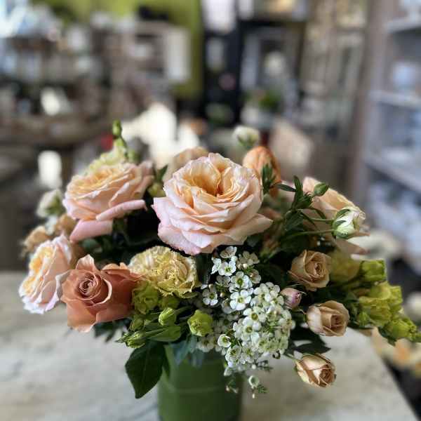 Urban Gardener Peaches