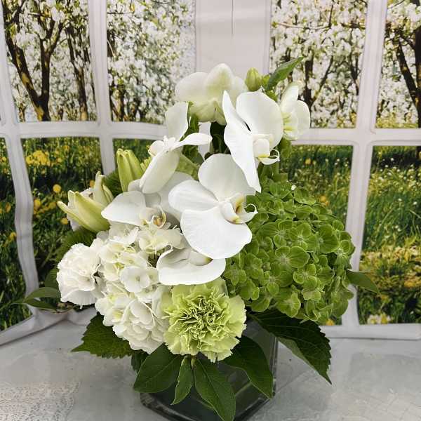 White orchids and green hydrangeas in a square glass vase