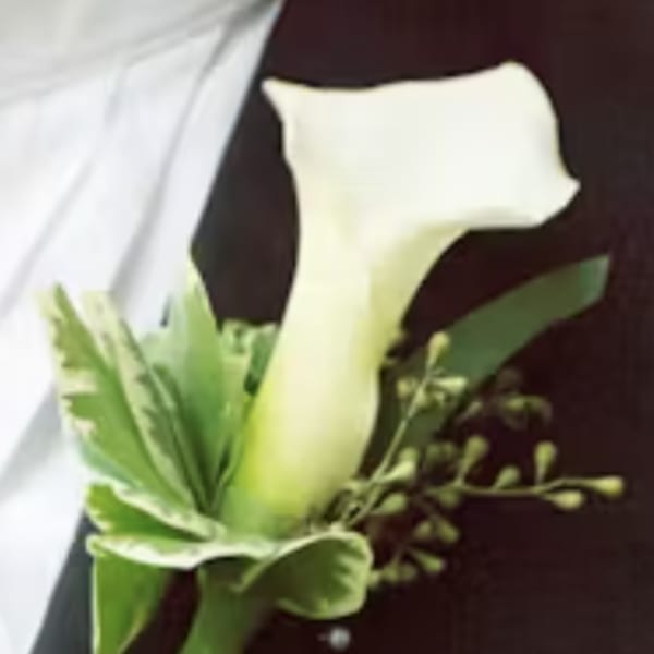 White calla lily boutonniere with green accents
