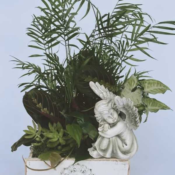 Potted green plant arrangement with a white angel figurine in a decorative box