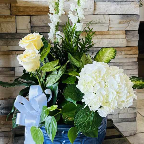 White roses and hydrangea in a blue vase with a pale ribbon