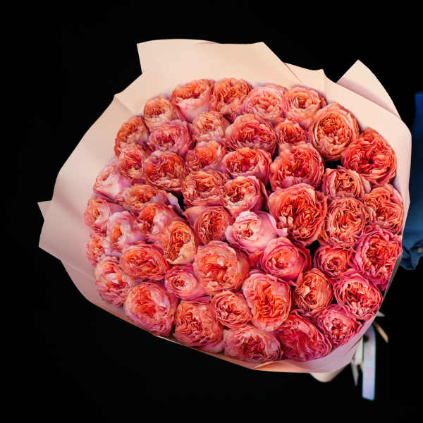 Bouquet of coral-pink roses wrapped in pale pink paper