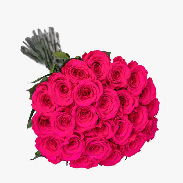 Bouquet of bright pink roses with wrapped stems