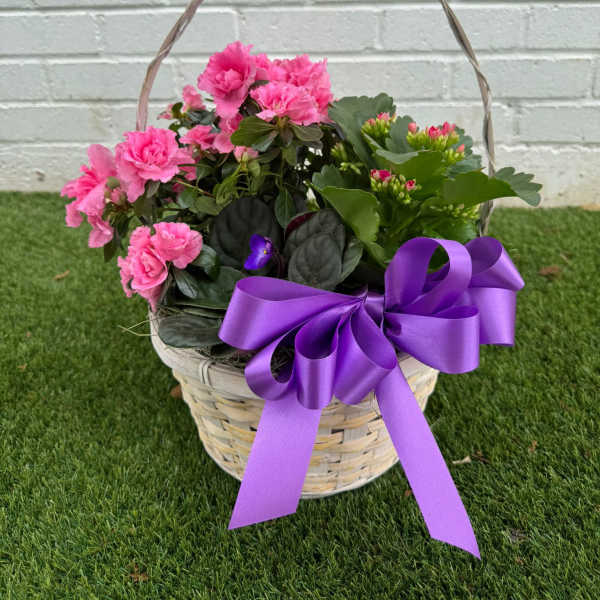Pink flowering plant basket with a purple ribbon bow