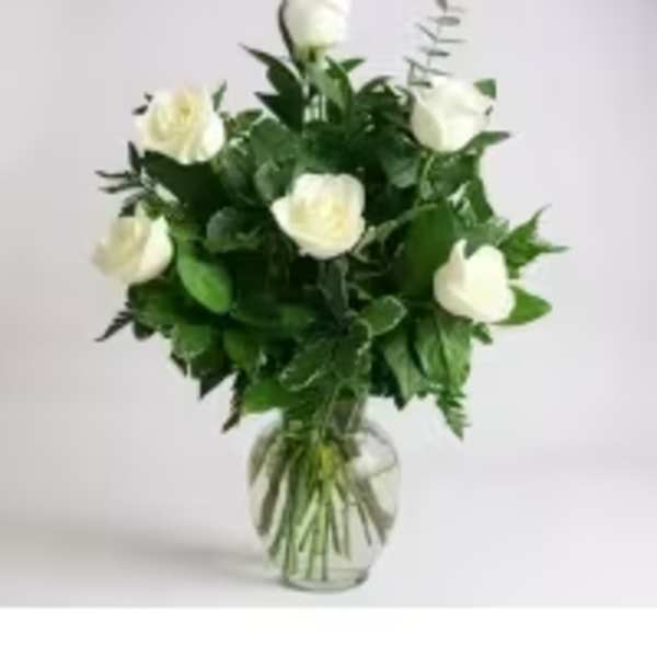 1/2 DOZEN WHITE ROSES