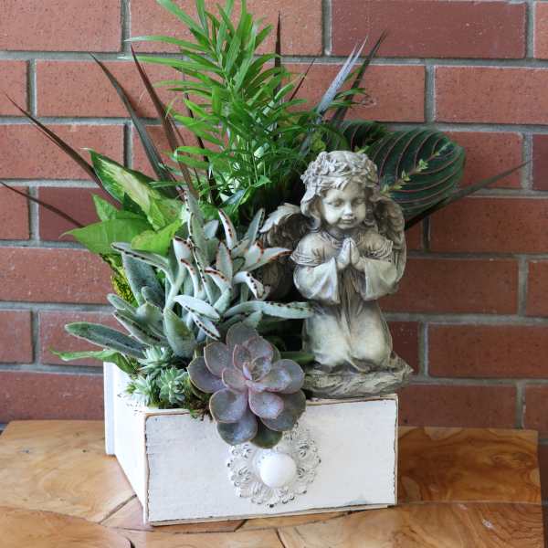 Succulent planter with an angel figurine in a white box