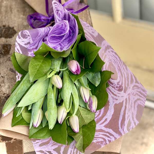 Purple-wrapped bouquet of pale tulips with green leaves