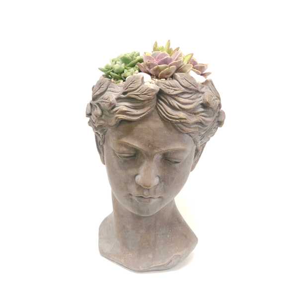 Succulent arrangement in a sculpted female bust planter
