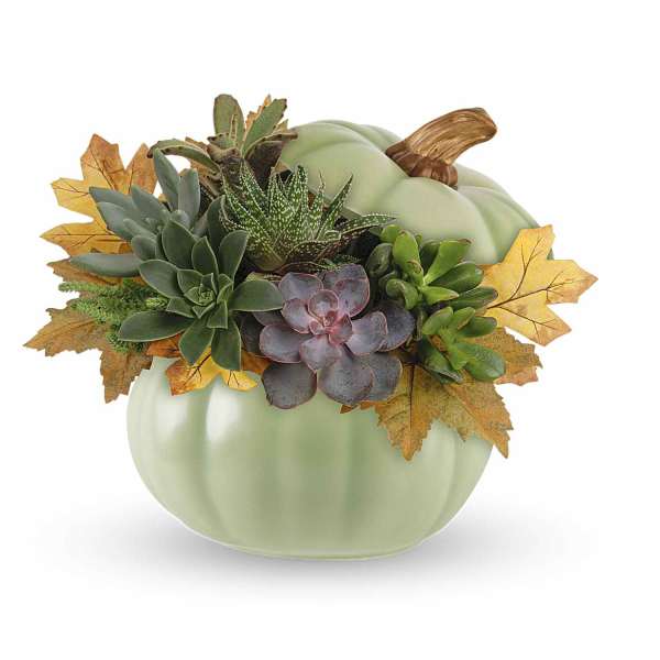 Succulent arrangement in a pale green pumpkin-shaped container with autumn leaves
