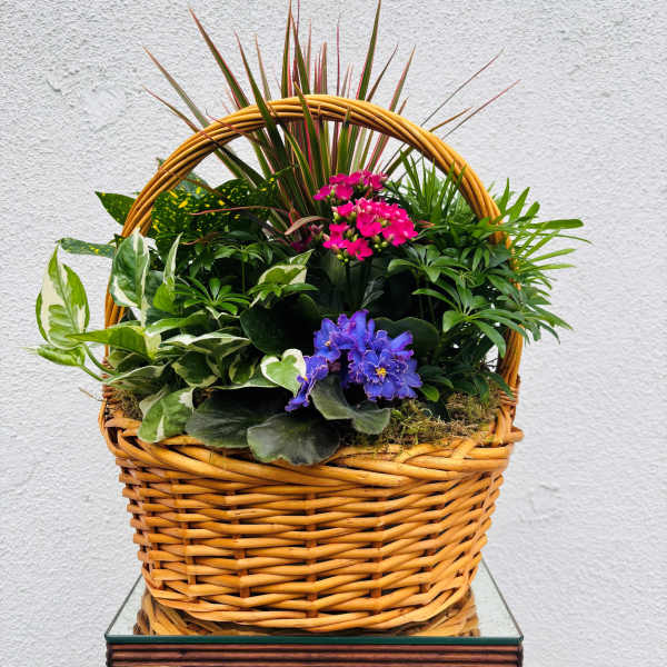 Mixed potted plants and purple flowers in a wicker basket