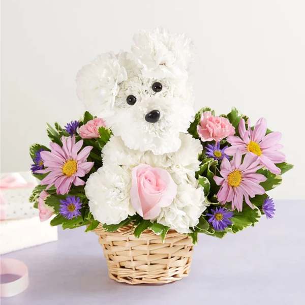 White flower teddy bear in a wicker basket with pink and purple daisies