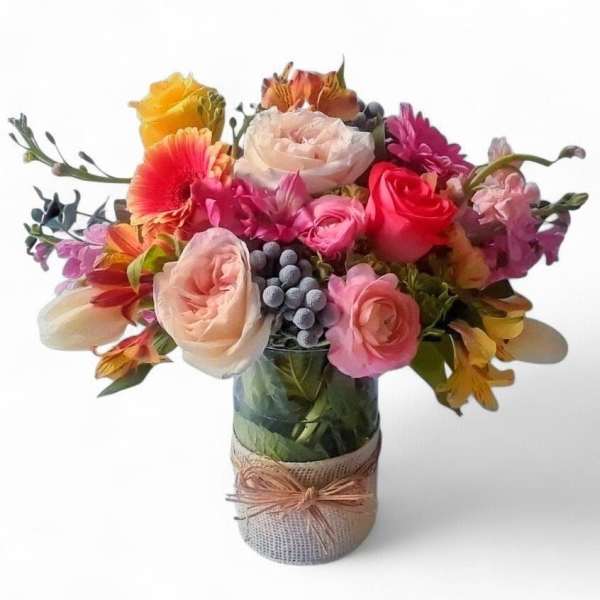 Pastel Cutie Designer's Choice