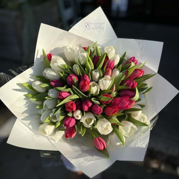 Bouquet of white and pink tulips wrapped in white paper