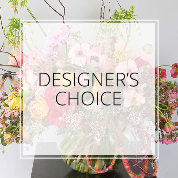 Designer's Choice-Glamour bright combo