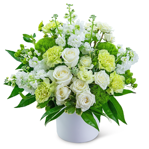 White roses and pale green carnations in a white vase