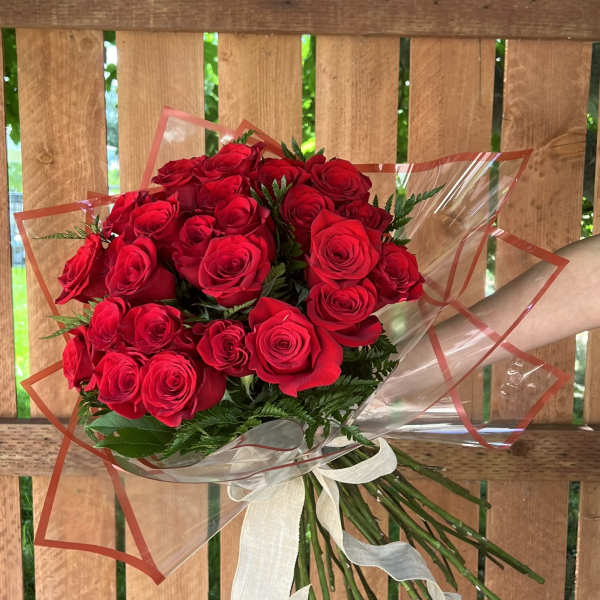 Bouquet of red roses wrapped in clear plastic with a white ribbon