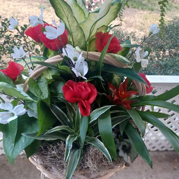 Basket arrangement with red and white flowers and mixed foliage