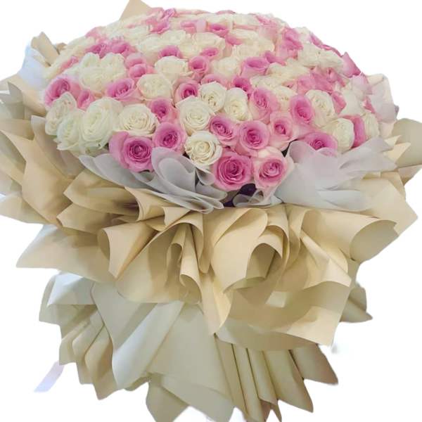 Large bouquet of pink and white roses wrapped in beige paper
