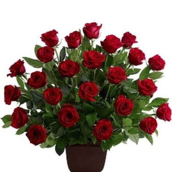 Arrangement of red roses in a brown urn vase