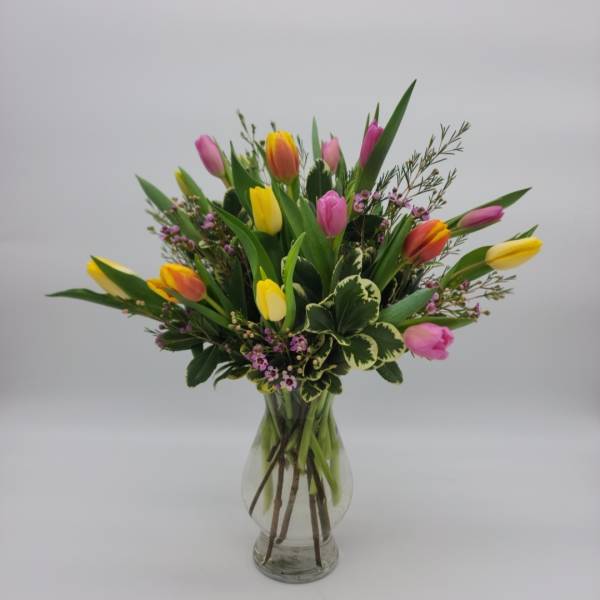 Picnic Tulips - Solid colors available