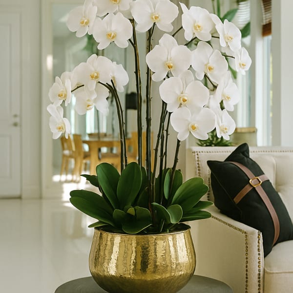 White orchid arrangement in a gold pot on a small table