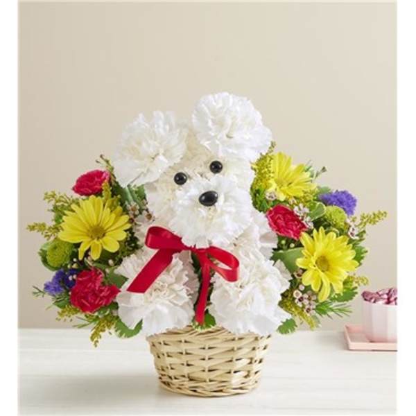 White dog-shaped flower arrangement in a wicker basket with colorful blooms