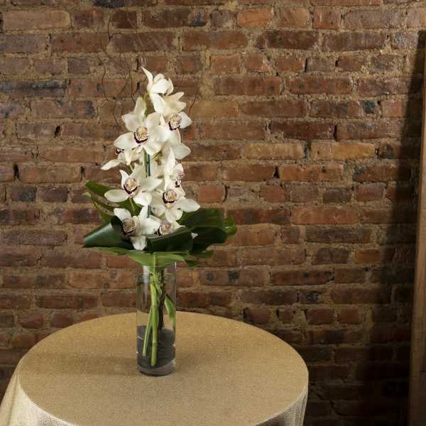 White orchids arranged in a clear glass vase on a table