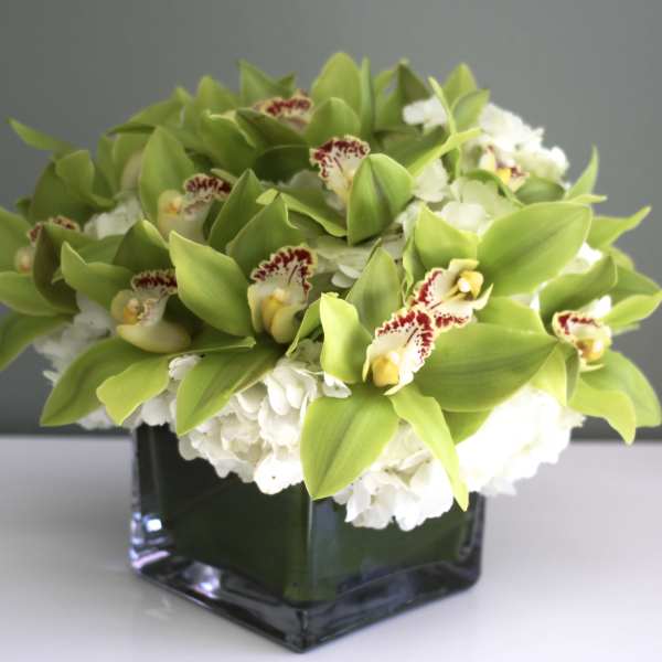 Green orchids and white flowers arranged in a square glass vase