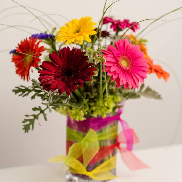 Colorful gerbera daisy arrangement in a square glass vase with ribbon