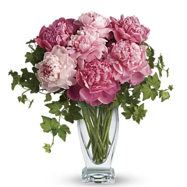 Perfect Peonies