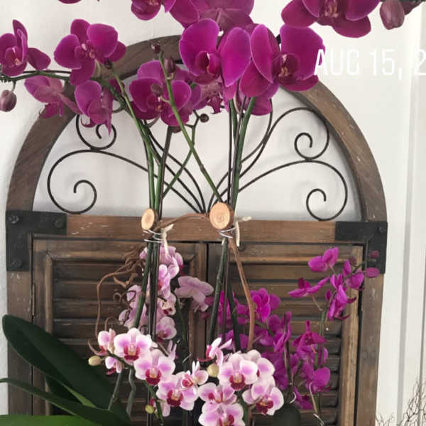 Potted orchid arrangement with purple and pink blooms in a white planter