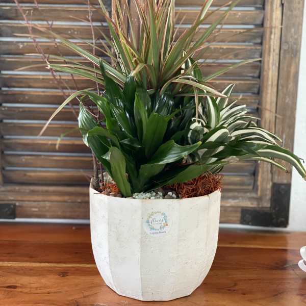 Potted arrangement of assorted green houseplants in a white planter